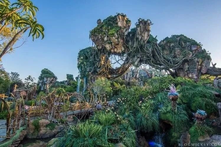 Avatar Flight of Passage