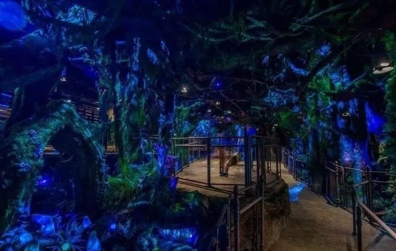 Avatar Flight of Passage